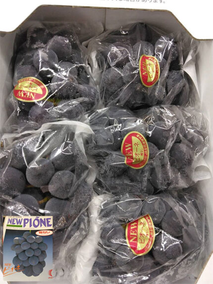 Pione Grapes | Premium Grade - Akashu (Seedless) | Okayama Prefecture | 400g Bunch