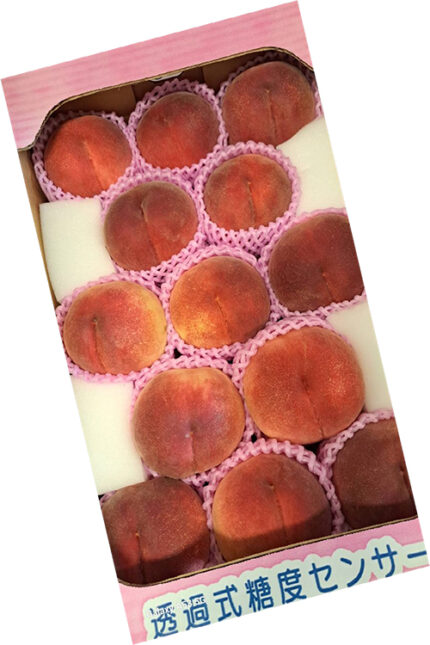 "President Misaka" Daitouryo Peach | Yamanashi Prefecture | 4L Size 13 Pcs