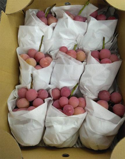 Queen Nina Grapes | Shu Grade | Yamanashi Prefecture | 550g