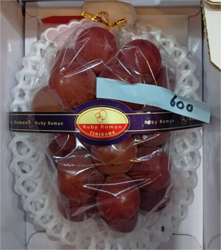Ruby Roman Grape | Ishikawa Prefecture | Premium Shu Grade | 600g Gift Box