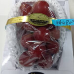 Ruby Roman Grape | Ishikawa Prefecture | Tokushu G Class | 800g Gift Box