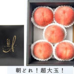 "Sachiakane" Premium Peach | Yamanashi Prefecture | 5L Size 5 Pcs
