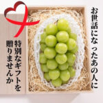 Shine Muscat (Wooden Gift Box) | Kagawa Prefecture