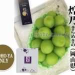 Shine Muscat "Kiramekino" Premium Variety | Okayama Prefecture | L Size 550g