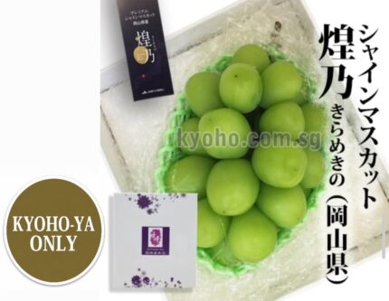 Shine Muscat "Kiramekino" Premium Variety | Okayama Prefecture | L Size 550g