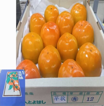 House Grown Persimmon "Soushu Kaki" (Seedless) | Aichi Prefecture | L Size