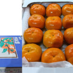 House Grown Persimmon Soushu Kaki | Nara Prefecture