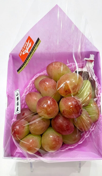 Sun Shine Red Grapes | (New Variety) Shu Grade | Yamanashi Prefecture | 710g