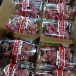 Sun Shine Red Grapes | Yamanashi Prefecture | Pack