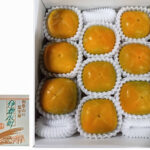 House Grown Tone Kaki (Seedless) | Aoshu Grade | Wakayama Prefecture | 9 Pcs