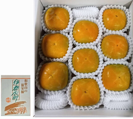 House Grown Tone Kaki (Seedless) | Aoshu Grade | Wakayama Prefecture | 9 Pcs