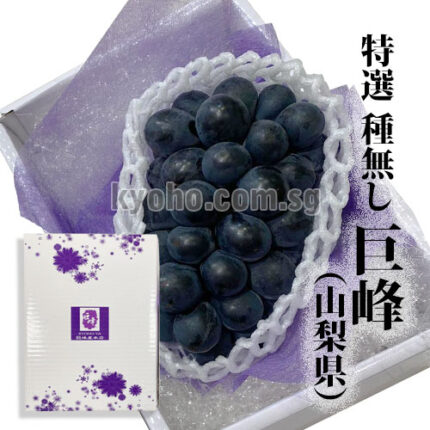 Kyoho Grapes | Premium Grade - Akashu (Seedless) | Nagano Prefecture | 620g
