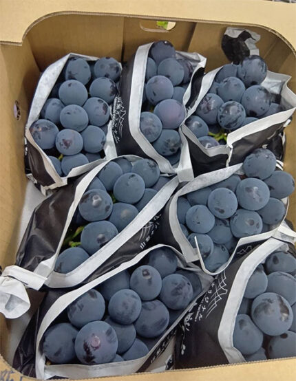 Kai King (Black King) Premium Grapes | Yamanashi Prefecture