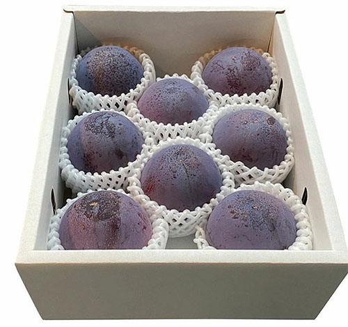 Kouji Premium Plum | Yamanashi Prefecture | 6 Pcs Gift Box