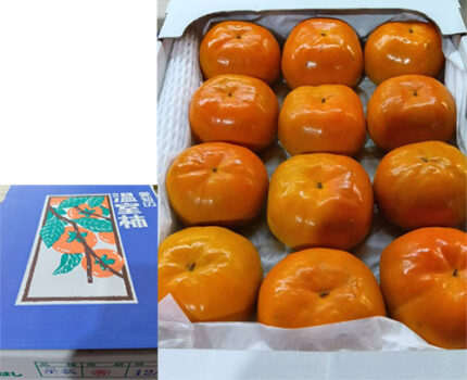 House Grown Persimmon Soushu Kaki | Nara Prefecture