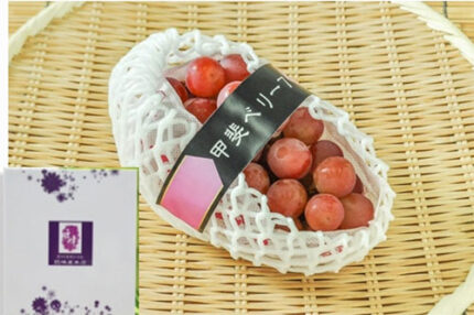 Sun Shine Red Grapes | Yamanashi Prefecture | Gift Box