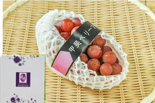 Sun Shine Red Grapes | Yamanashi Prefecture | Gift Box