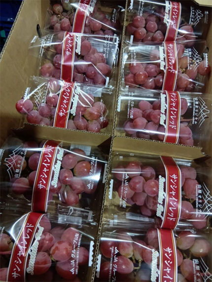 Sun Shine Red Grapes | Yamanashi Prefecture | Pack