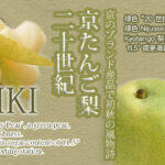 Nijyusseiki Kyou Tango Pear | Kyoto Prefecture