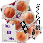 Sakura Hakutoh (White Peach) | Yamanashi Prefecture