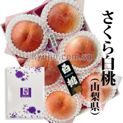 Sakura Hakutoh (White Peach) | Yamanashi Prefecture
