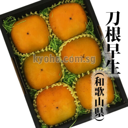 House Grown Tone Kaki (Seedless) | Wakayama Prefecture | 5L Size