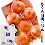 Sakura Hakutoh | Grade "Shingen" | Yamanashi Prefecture | 4L Size 6 Pcs