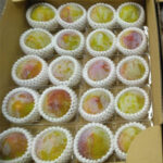 Akihime Plum (Premium Tokushu Grade) | Nagano Prefecture
