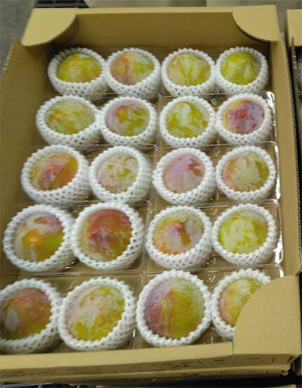 Akihime Plum (Premium Tokushu Grade) | Nagano Prefecture
