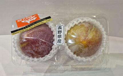 Akihime Plum (Premium Tokushu Grade) | Nagano Prefecture