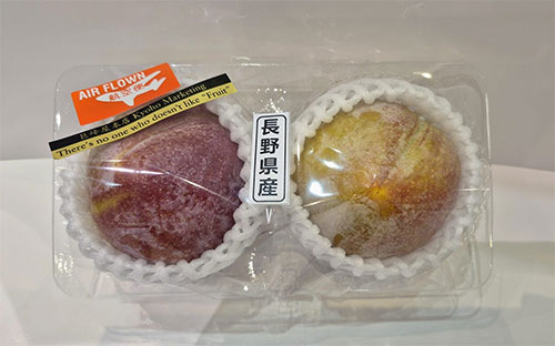 Akihime Plum (Premium Tokushu Grade) | Nagano Prefecture
