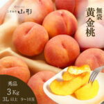 Golden Peach (Premium Shu Grade)| Yamagata Prefecture