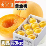 Golden Peach (Premium Shu Grade)| Yamagata Prefecture | 8 Pcs