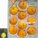 Golden Peach (Premium Shu Grade) | Yamagata Prefecture | 10 Pcs