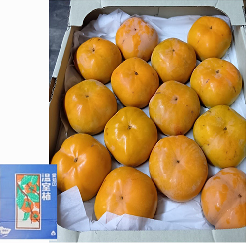 Jiro Kaki Persimmon | Aoshu Grade (Seedless) | Aichi Prefecture | 4L Size 14 Pcs Jiro Kaki Persimmon | Aoshu Grade (Seedless) | Aichi Prefecture | 4L Size 14 Pcs