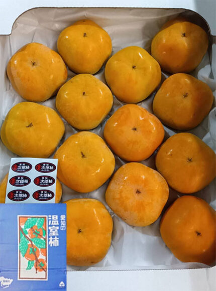 Jiro Kaki Persimmon (Seedless) | Premium-Aoshu Grade | Aichi Prefecture | 14 Pcs