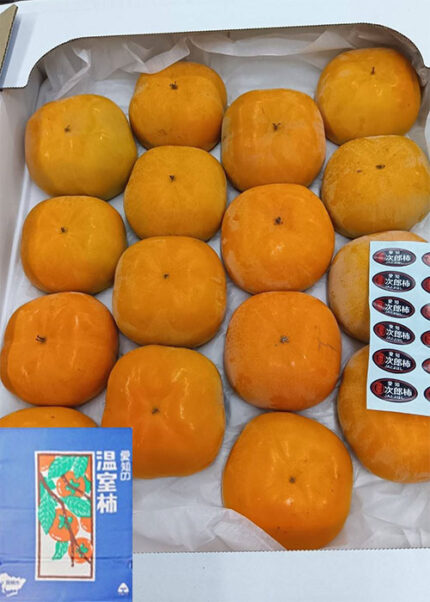Jiro Kaki Persimmon (Seedless) | Premium-Aoshu Grade | Aichi Prefecture | 16 Pcs (Copy)
