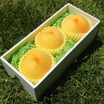 Kai Singen Golden Peach | Yamanashi Prefecture