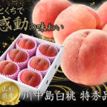 Kawanakajima Hakutoh (Top Premium Grade) | Yamagata Prefecture