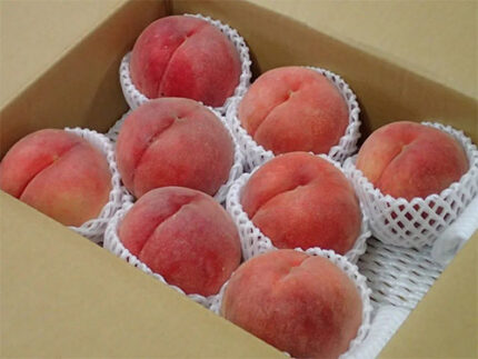 Kawanakajima Hakutoh (Top Premium Grade) | Yamagata Prefecture | 8 Pcs