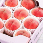 Kawanakajima Hakutoh (Top Premium Grade) | Yamagata Prefecture | 9 Pcs