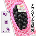 Nagano Purple Grapes | (Seedless) Shu Grade | Nagano Prefecture | 830g
