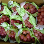Queen Rouge® Grapes | Shu Grade | Nagano Prefecture | 450g