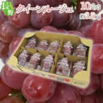 Queen Rouge® Grapes | Nagano Prefecture | Pack