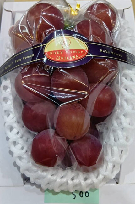Ruby Roman Grape | Ishikawa Prefecture | Premium Shu Grade | 500g Gift Box