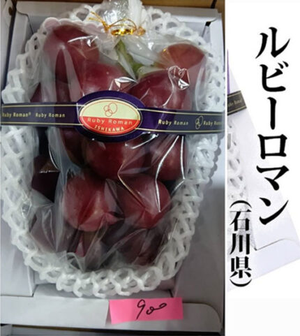Ruby Roman Grape | Ishikawa Prefecture | Premium Shu Grade | 900g Gift Box