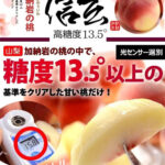 Sakura Hakutoh (White Peach) | Yamanashi Prefecture