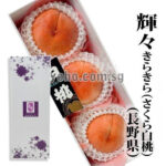 Sakura Hakutoh - Kira Kira | Nagano Prefecture | 4L Size 3 Pcs