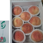 Seioubo Hakutoh | Yamagata Prefecture | 8 Pcs