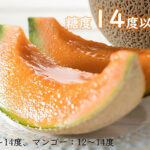 Tomamae Melon (Red Fresh Melon) | Hokkaido Prefecture